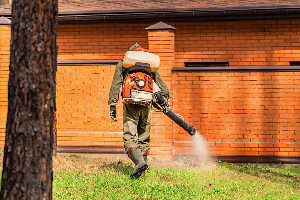 Top rated local Mosquito Control specialists in Elida, OH